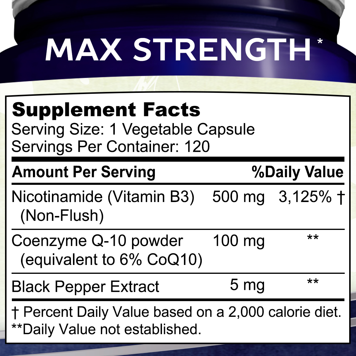 Nicotinamide with CoQ10 (120 Capsules) - Vitamin B3 500mg (Niacinamide Flush Free) - Coenzyme Q10 Powder - VIT B-3 & Coq 10 Supplement Pills to Support Energy, NAD, & Skin Cell Health