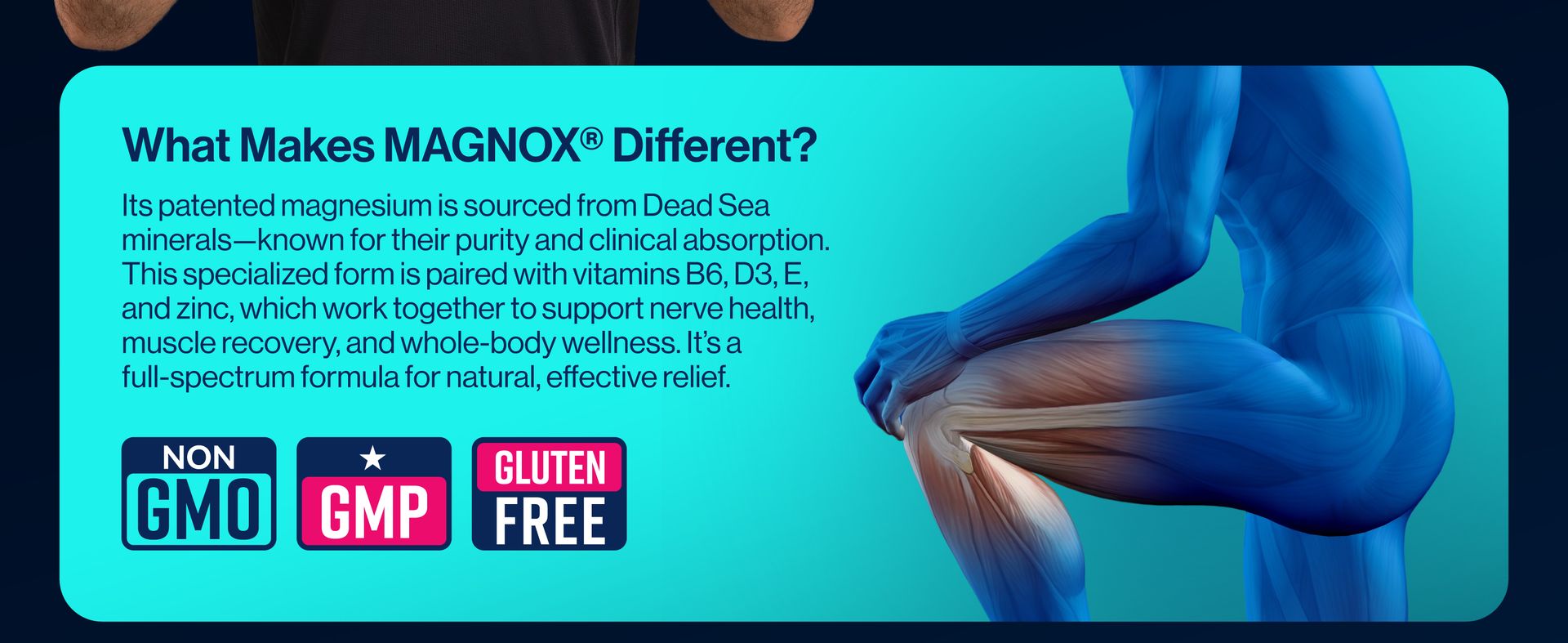MAGNOX® Buster | Patented Clinically Tested 380mg Magnesium Supplement for Spasms & Leg Cramps at Night | One Capsule a Day for Almost Full Dosage | 3X More Absorption | Dead Sea Minerals (60 Caps)