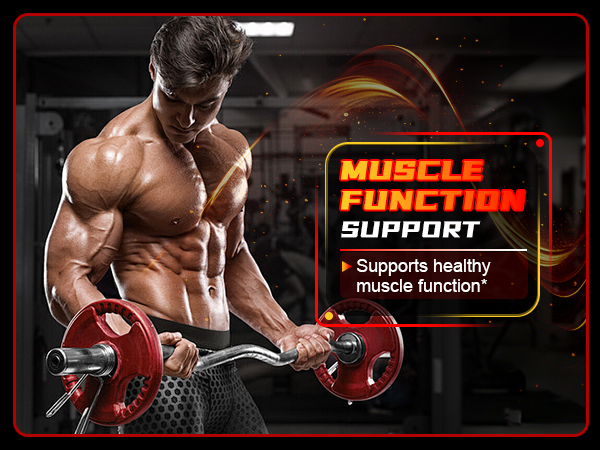 Creatine Monohydrate Gummies for Men & Women with L-Carnitine & Taurine