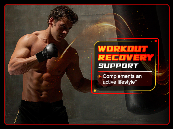 Creatine Monohydrate Gummies for Men & Women with L-Carnitine & Taurine