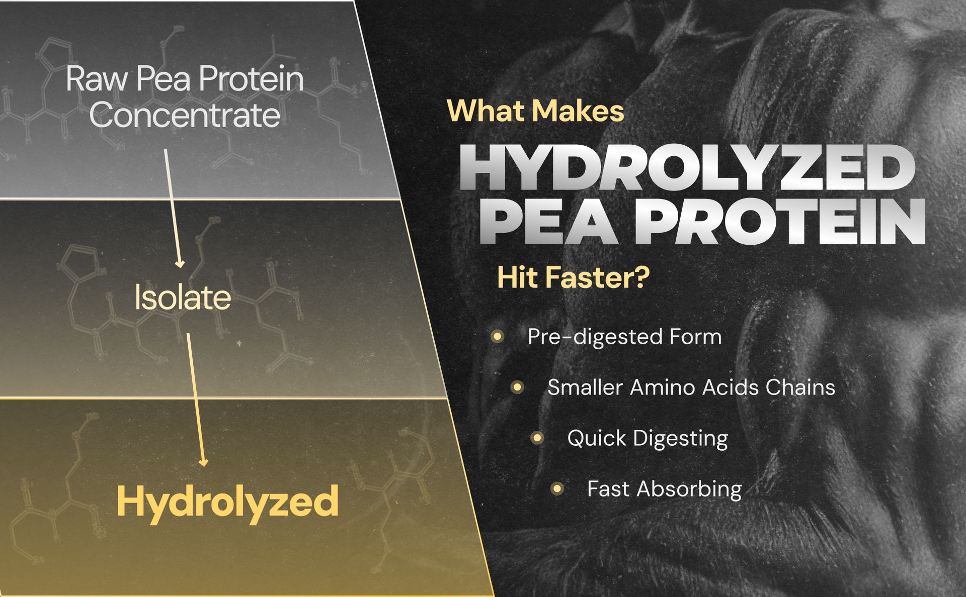 NUTRABAY Gold Pea Protein Powder - 2kg, Cold Coffee | 25g Protein, 4.6g BCAA, 5g Fiber | Complete Amino Profile | Tastiest & Smoothest Vegan, Plant Protein | Muscle Gain & Fast Recovery