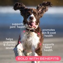 native-pet-healthy-belly-shiny-coat-bund-3.jpg