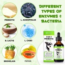 oimmal-probiotics-for-dogs-3-in-1-dog-pr-3.jpg