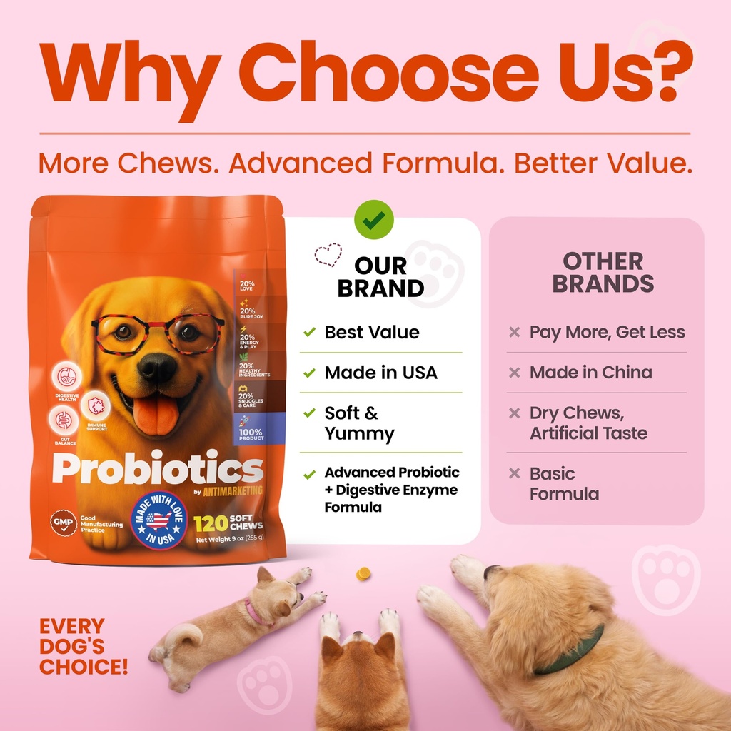 probiotics-for-dogs-dog-probiotics-for-d-6.jpg
