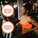 now-foods-sports-nutrition-branched-chai-6.jpg