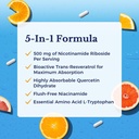 vitalitown-5-in-1-nad-nmn-supplement-alt-3.jpg
