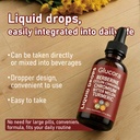glucora-berberina-liquida-gotas-glucora--4.jpg