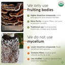 organic-super-six-mushroom-powder-supple-6.jpg