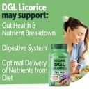 yuve-vegan-dgl-licorice-760mg-digestive--2.jpg