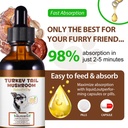 turkey-tail-mushroom-for-dogs-dog-mushro-5.jpg