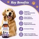 dog-cancer-supplement-4-oz-dog-cancer-ca-3.jpg