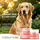 turkey-tail-mushroom-powder-for-dogs-pro-4.jpg