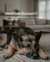 probiotics-for-dogs-dog-probiotics-diges-2.jpg