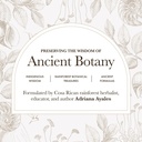 anima-mundi-apothecary-golden-sun-milk-r-5.jpg