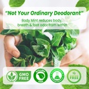 body-mint-original-chlorophyll-deodorizi-6.jpg