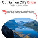 brilliant-norwegian-salmon-oil-for-dogs--5.jpg
