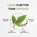 secrets-of-the-tribe-mullein-leaf-tinctu-2.jpg
