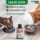 cat-dog-uti-treatment-urinary-tract-infe-5.jpg