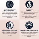 1600-mg-liposomal-nad-supplement-98-pure-5.jpg