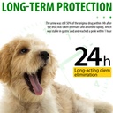 natural-antibiotics-for-dogs-pet-supplem-4.jpg