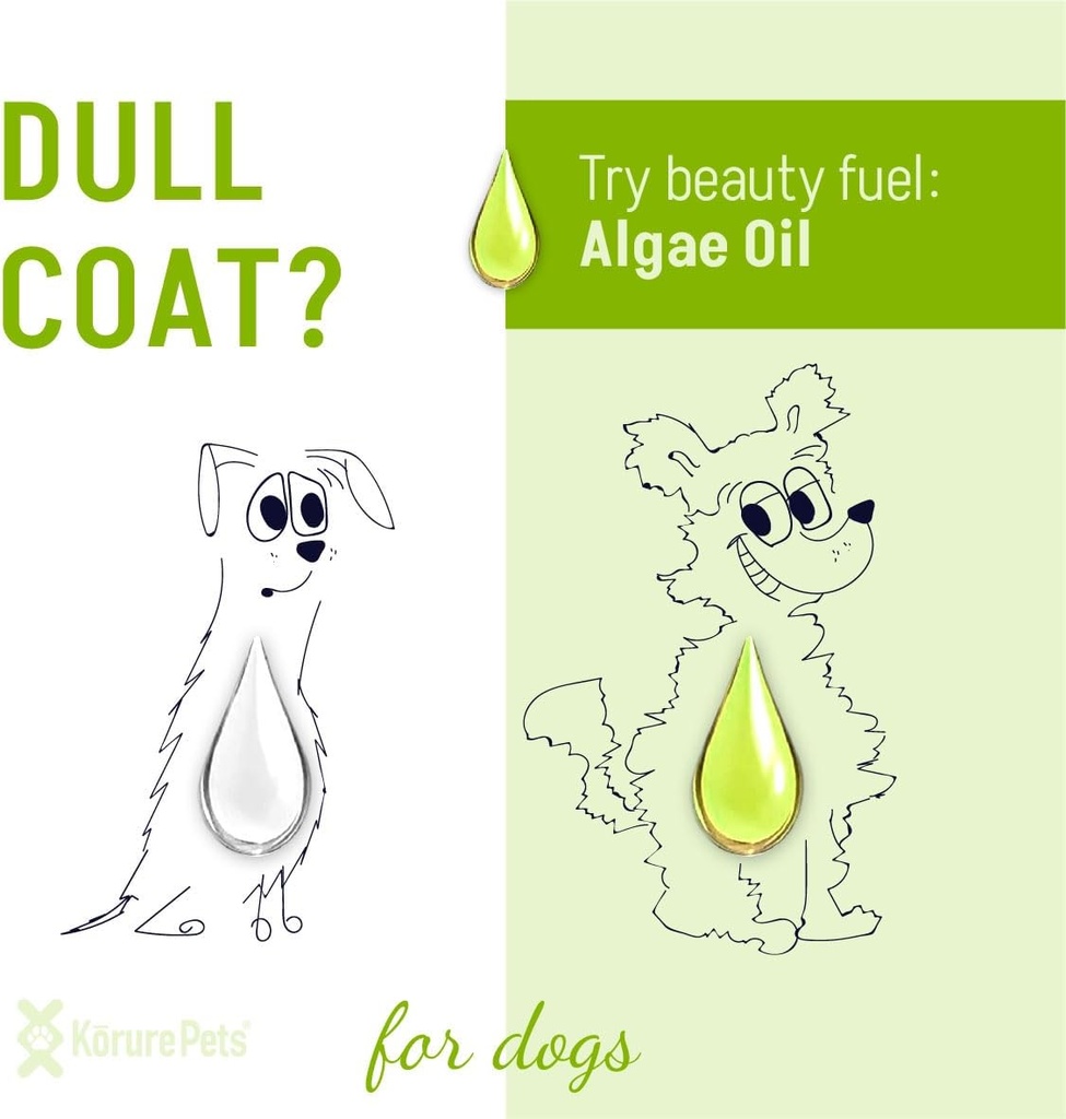 omega-3-for-dogs-skin-and-coat-supplemen-3.jpg