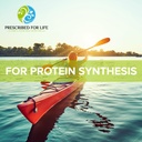 prescribed-for-life-l-glutamine-powder-p-71qx9RfPySL.jpg