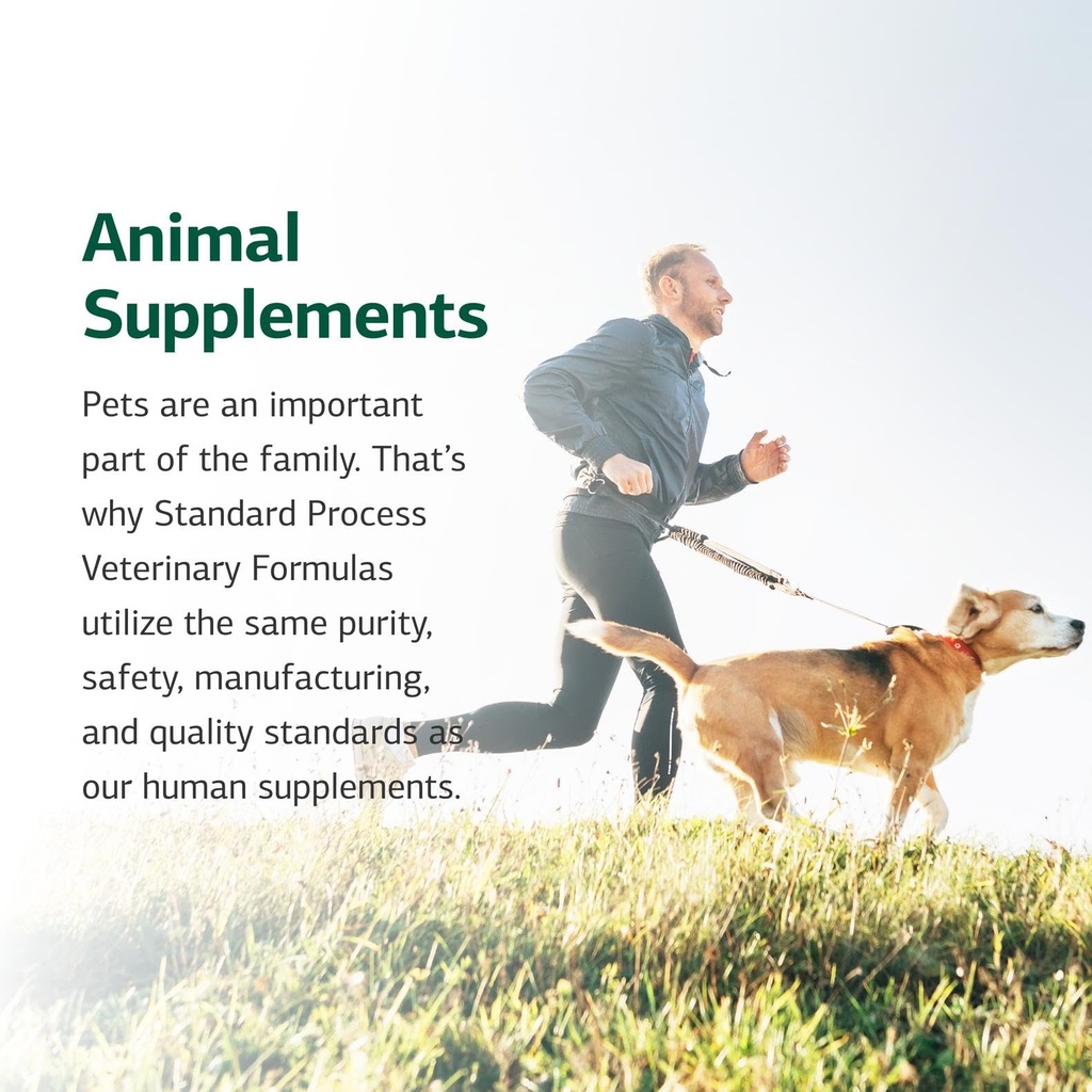 standard-process-vf-thymex-for-pets-90-t-714Hni5EK3L.jpg