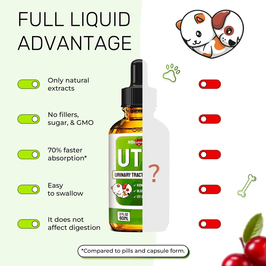 cat-uti-treatment-to-care-for-kidneys-an-71YLTDFEt5L.jpg
