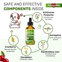 cat-uti-treatment-to-care-for-kidneys-an-81xOFTumrOL.jpg