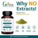 alfalfa-usda-organic-1200-mg-per-serving-81IMvXZDl3L.jpg
