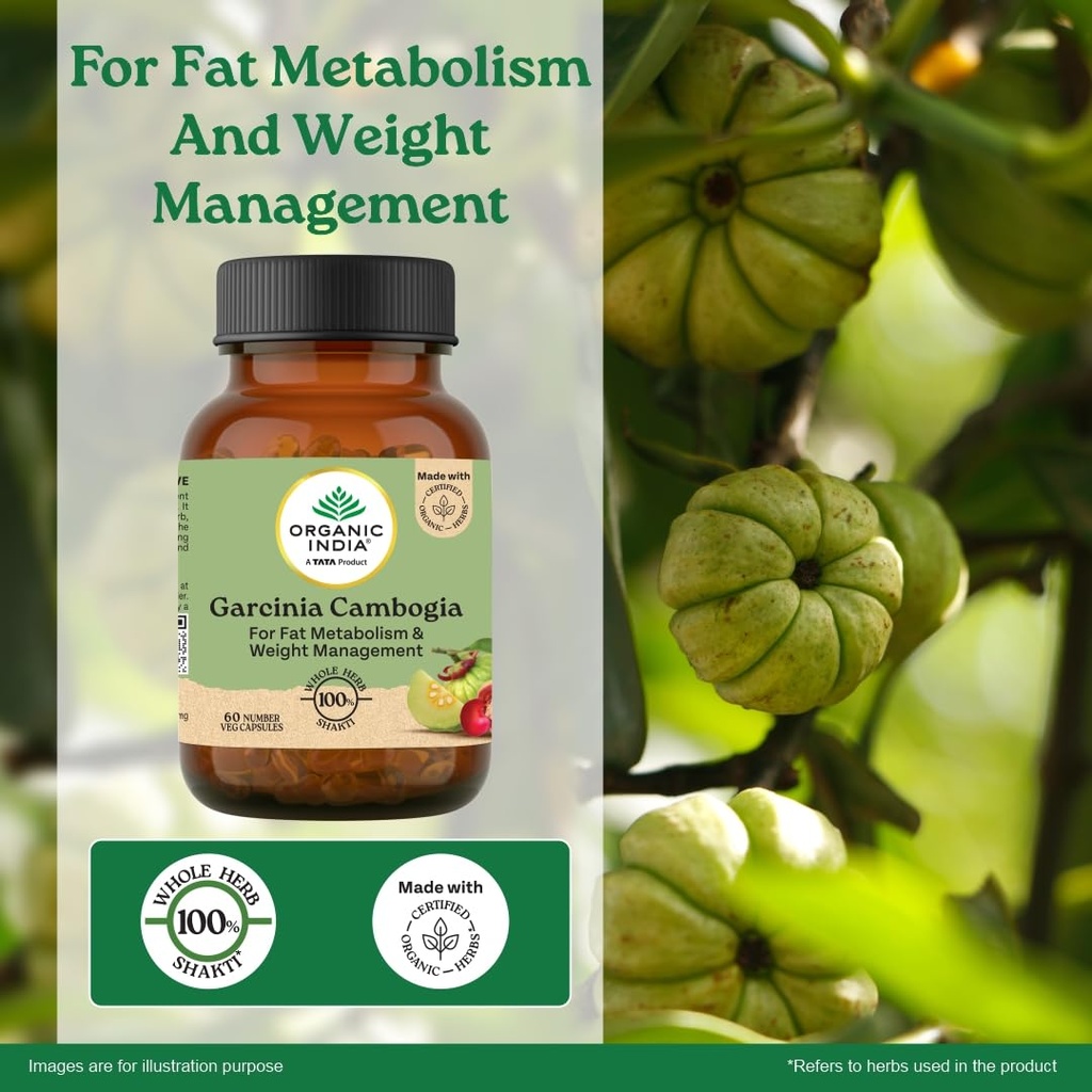 a-tata-product-organic-india-garcinia-ca-610LezcY6vL.jpg