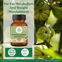 a-tata-product-organic-india-garcinia-ca-610LezcY6vL.jpg