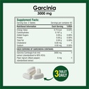 biotrex-nutraceuticals-garcinia-cambogia-81sM4sQdigL.jpg