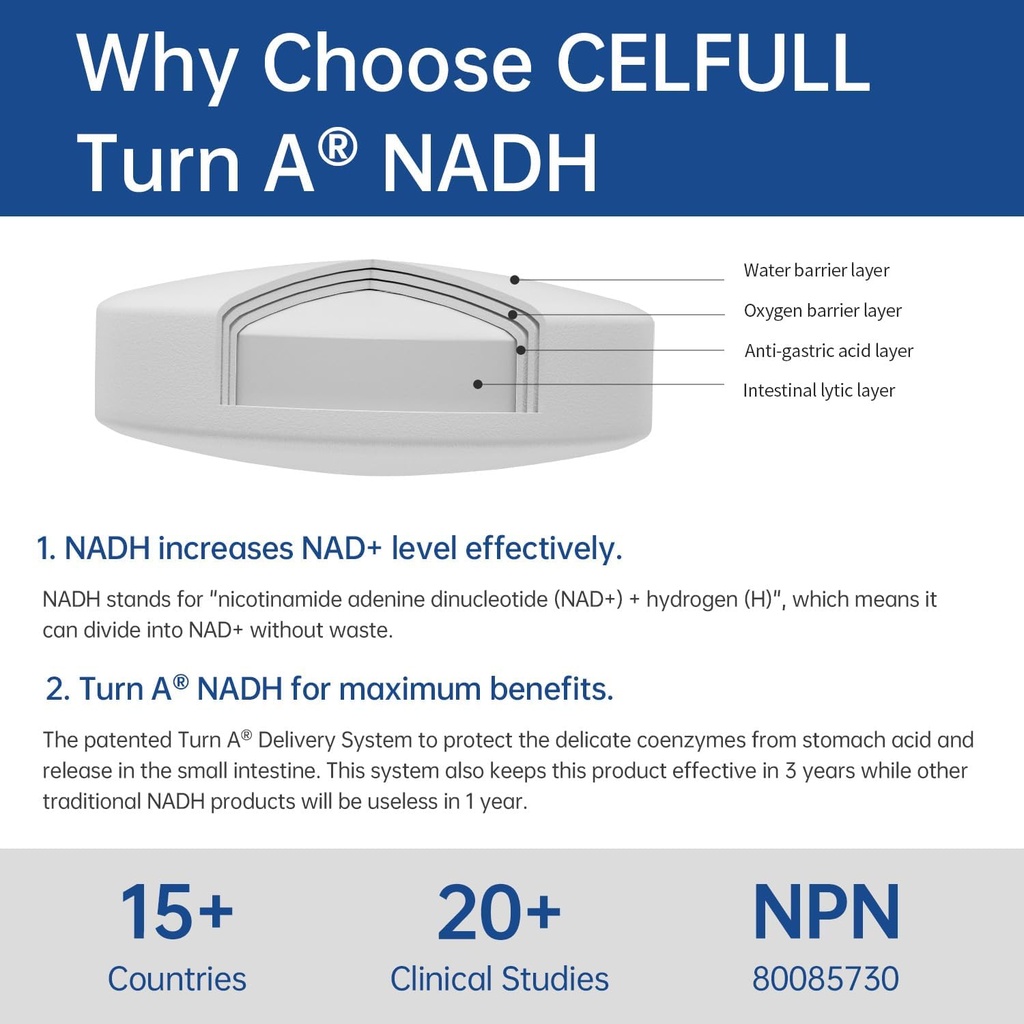 celfull-nadh-supplement-40mg-enchance-na-3.jpg
