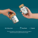snap-supplements-gut-health-supplement-o-71YFdVGPIhL.jpg