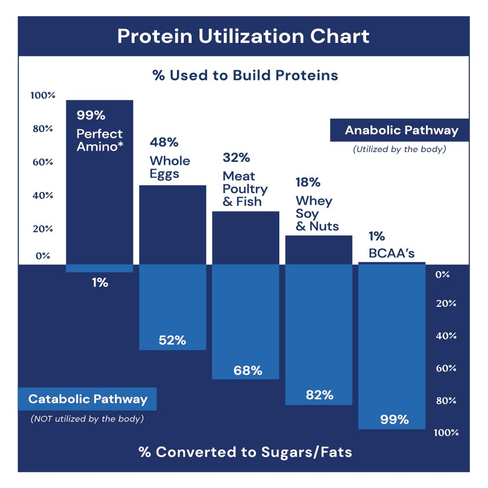 bodyhealth-perfectamino-150-ct-easy-to-s-61ZV2k+AZAL.jpg