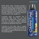 alphablue-liquid-l-carnitine-3000-mg-sup-61rcfRt+JUL.jpg