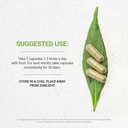 secrets-of-the-tribe-yarrow-usda-organic-3.jpg
