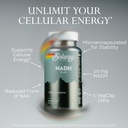solaray-nadh-10-mg-active-form-of-niacin-61ADsOp1QnL.jpg
