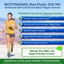 nicotinamide-with-coq10-120-capsules-vit-91npyMxH5KL.jpg