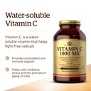 solgar-vitamin-c-1000-mg-250-vegetable-c-81yzsvaKwQL.jpg