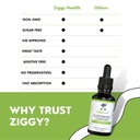 organic-elderberry-tincture-elderberry-e-51YIahJmFML.jpg