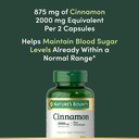 nature-s-bounty-high-potency-cinnamon-20-71Gb6poflyL.jpg