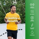 optimum-nutrition-creatine-plus-powder-s-81ZtIFOv3HL.jpg