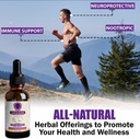 lions-mane-mushroom-supplement---organic-5.jpg