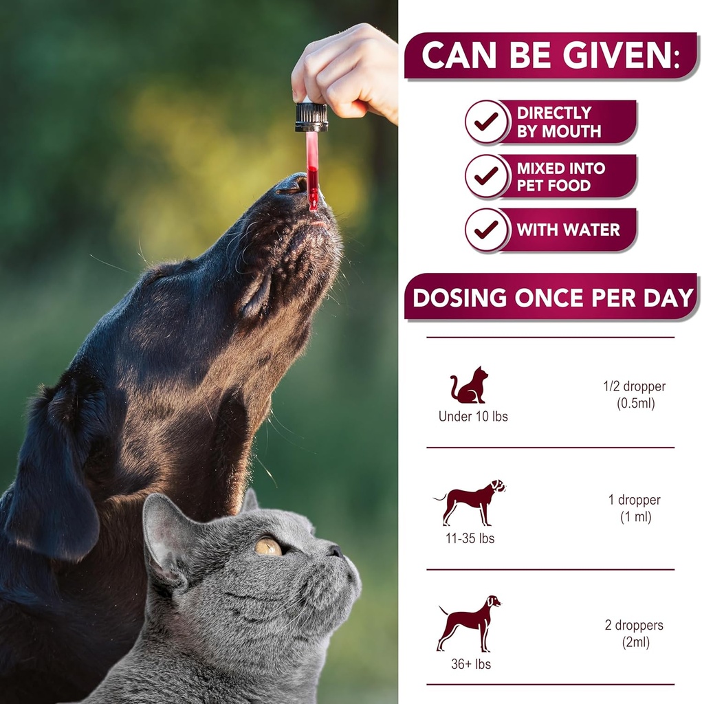 cat-dog-uti-treatment---urinary-tract-in-5.jpg