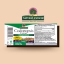 natures-answer-alcohol-free-codonopsis-r-2.jpg