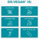 vegan-nights-5.jpg
