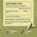 herbamama-mimosa-pudica-seed-capsules----3.jpg