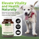 lignans-for-life-flaxseed-lignans-for-do-3.jpg